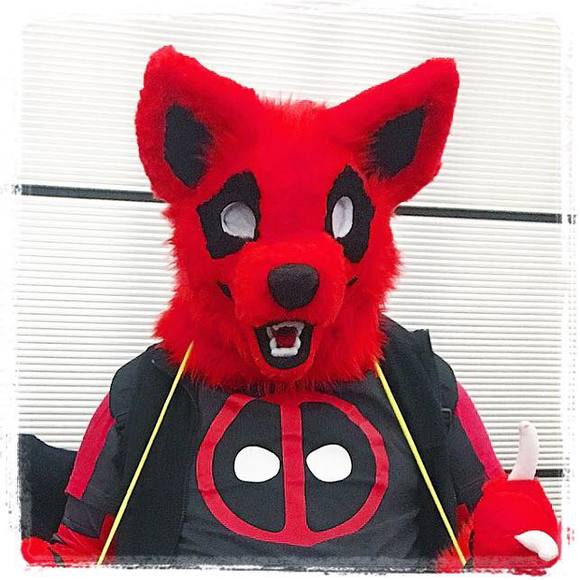 Meet your Posher, Joshua - Picture 1 of 1